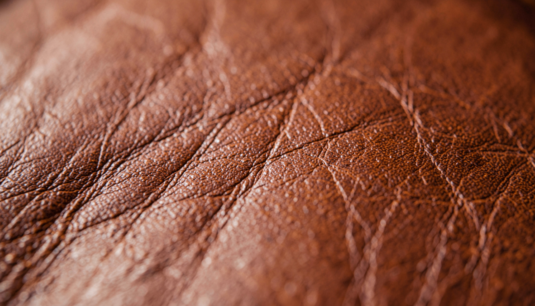 A close-up photograph of rich brown leather with natural grain and subtle creases, warm earthy tones